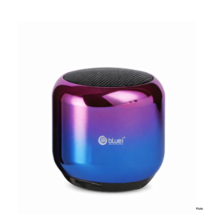 Flute Speaker